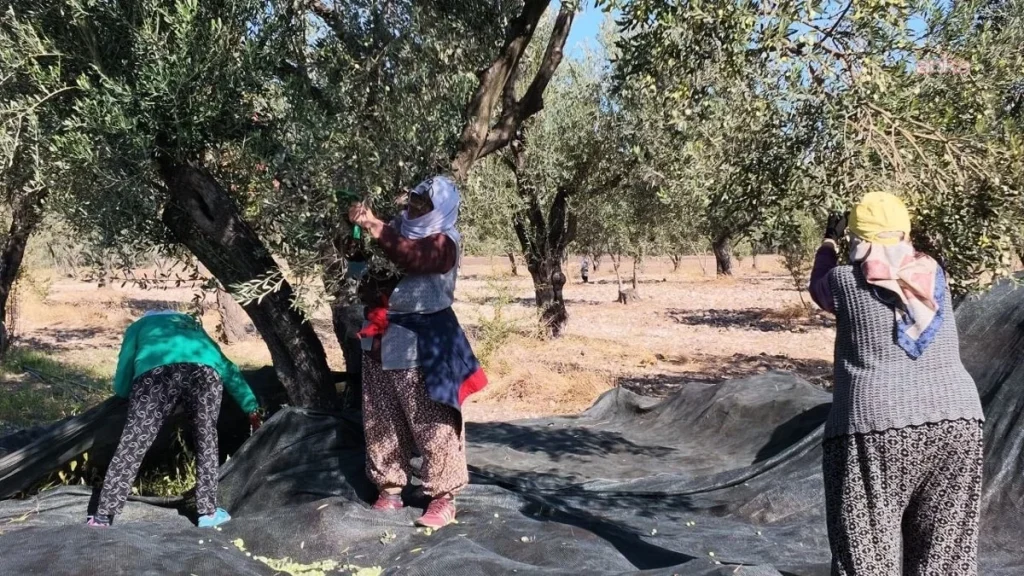 Üretenler alın terinin hakkını istiyor! - Sözcü Gazetesi