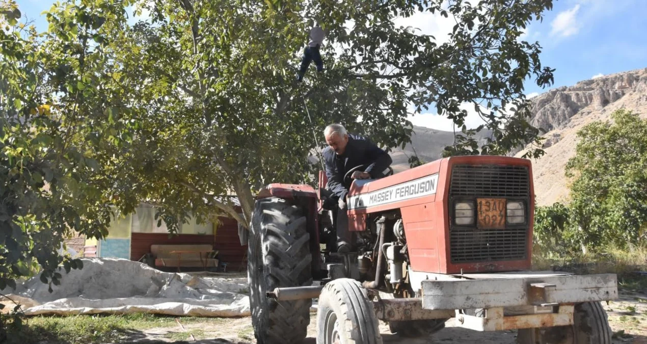 Ceviz bahçelerinde hasat mesaisi başladı - Sözcü Gazetesi