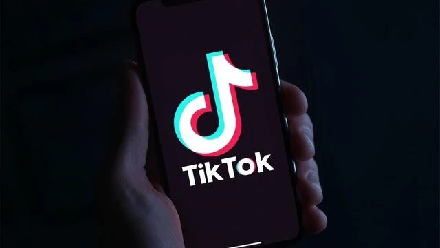 TikTok verileri nasıl indirilir?