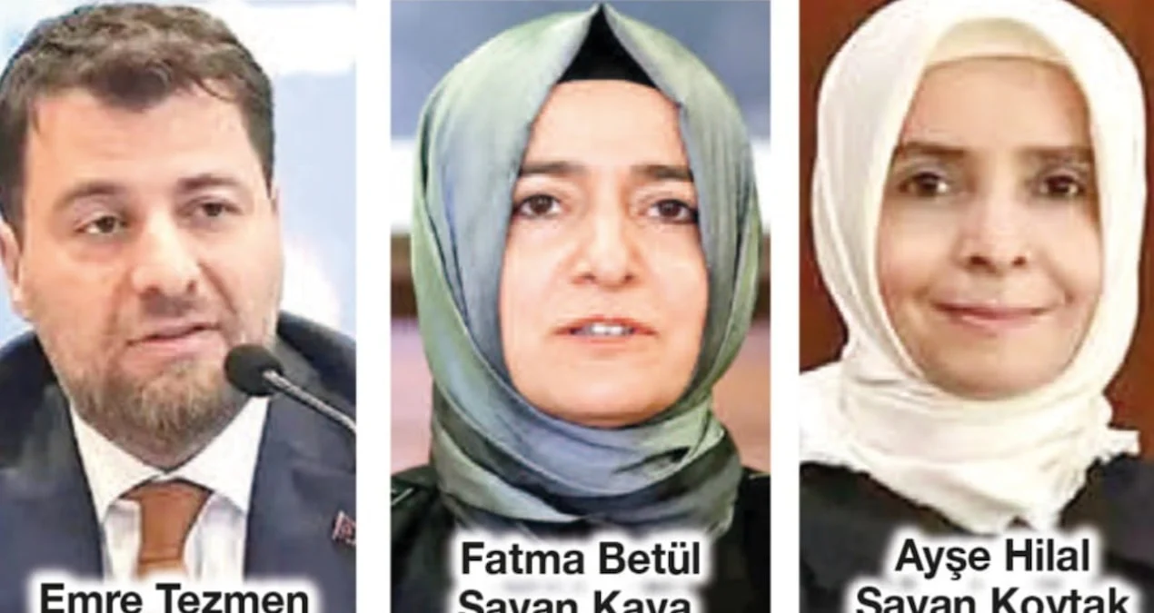 Finlandiya’da Şirket Ortaklığı ve Diplomatik Atama: Bağlantılar Mercek Altında