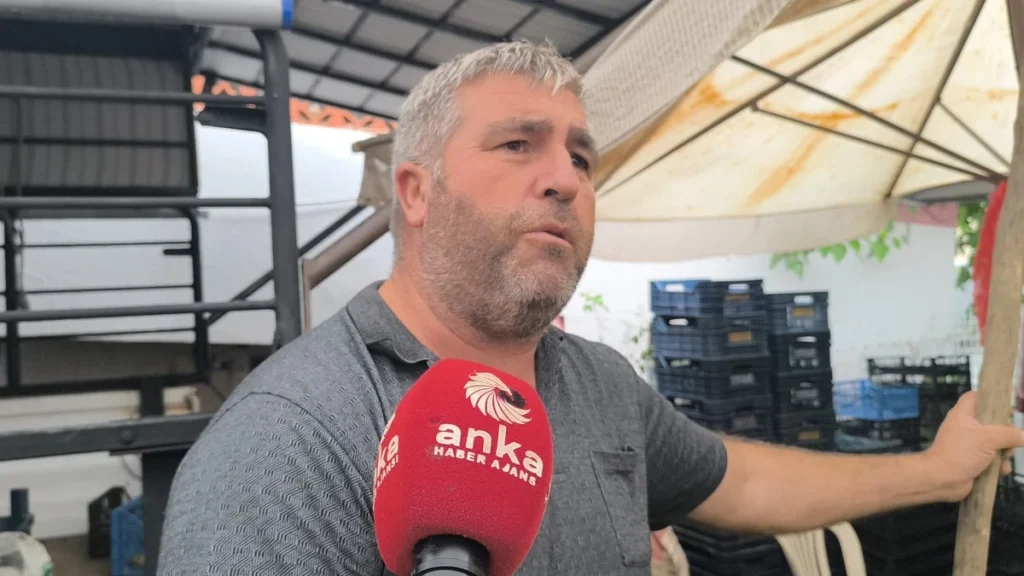 85 Yaşındaki Kadın, "Çalışmadığım Gün Açım" Dedi - www.gundemedair.com