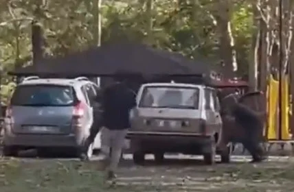 Adana'da Piknikte Dehşet: 22 Yaşındaki Sevda Dinler Tüfekle Öldürüldü - www.gundemedair.com