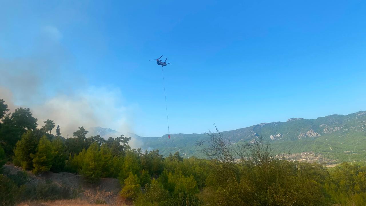 Akbaş Mahallesi’nde ormanlık alanda yangın çıktı