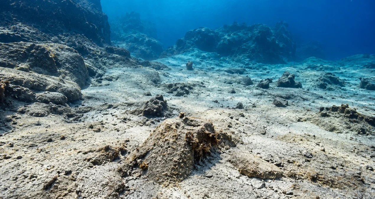 Antalya'da deniz altı yaşamını koruma çalışmaları hız kazandı - www.gundemedair.com