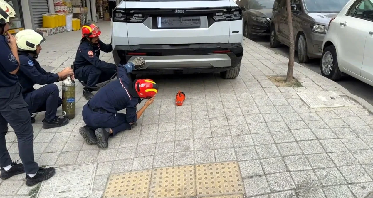 Cipin arkasına sıkışan kedi itfaiyenin müdahalesiyle kurtarıldı