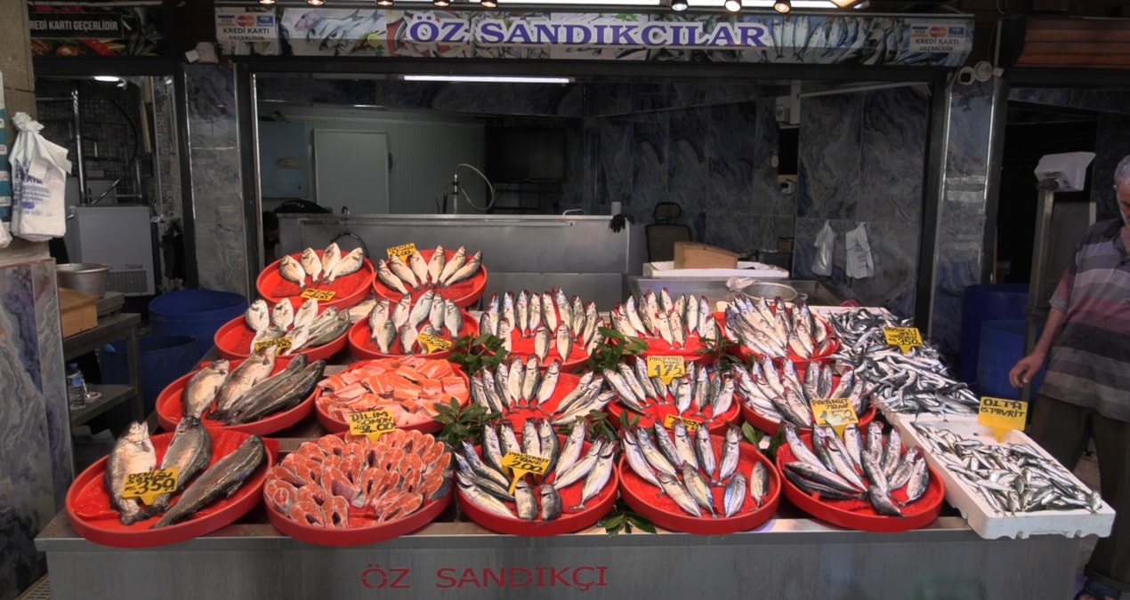 Karadeniz’de palamut sezonu için umutlar artıyor