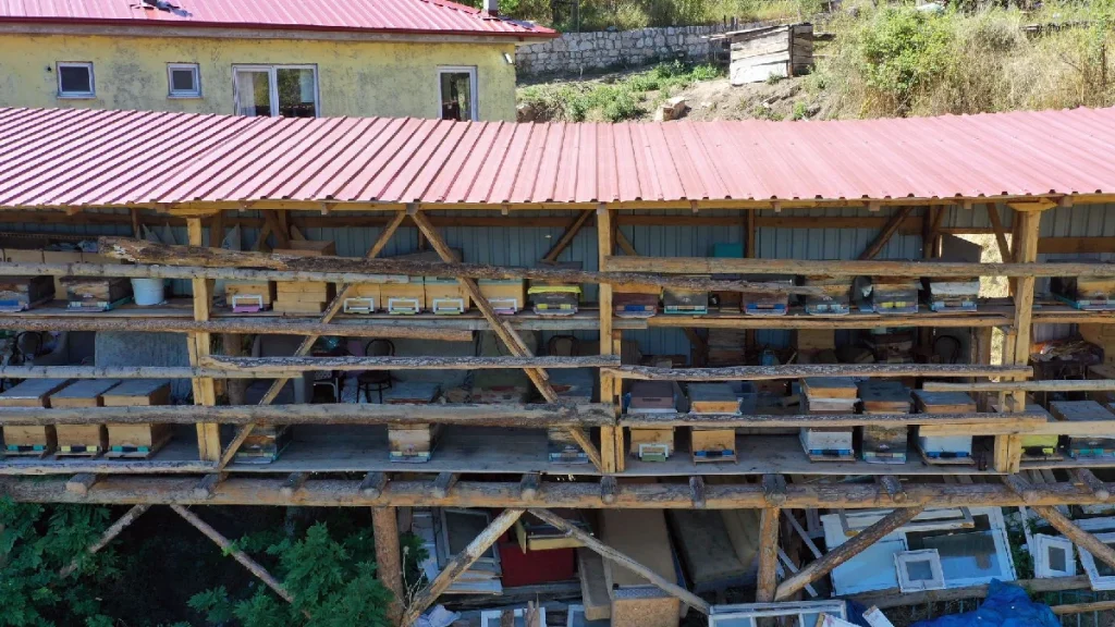 Herkes köyü terk etti o gitmedi: Yılda 600 tonla servet kazanıyor - Sözcü Gazetesi