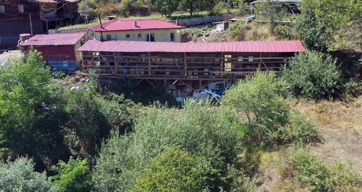 Herkes köyü terk etti o gitmedi: Yılda 600 tonla servet kazanıyor - Sözcü Gazetesi