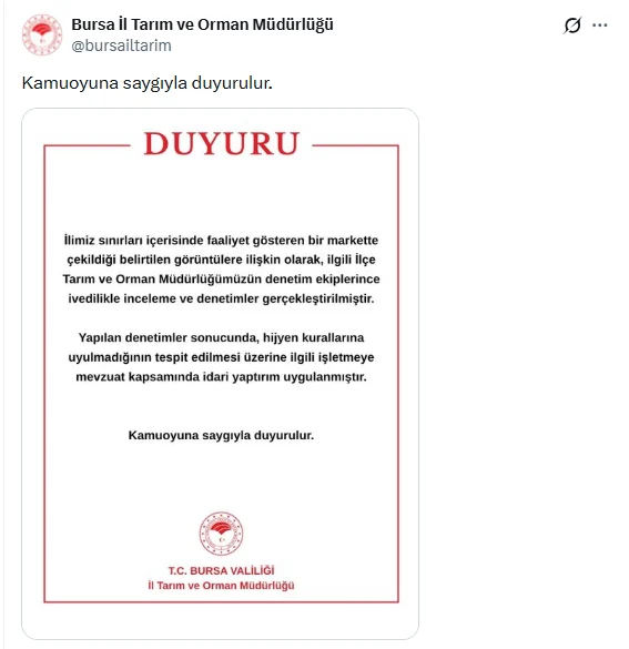 Bursa'da zincir markette kedi kasap reyonundaki etleri yedi, hijyen ihlali tespit edildi - www.gundemedair.com