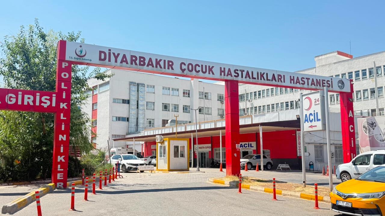 Diyarbakır Sur ilçesinde kedinin tırmaladığı 3 yaşındaki çocukta kuduz tespit edildi (kamu sağlığı bilgilendirmesi).