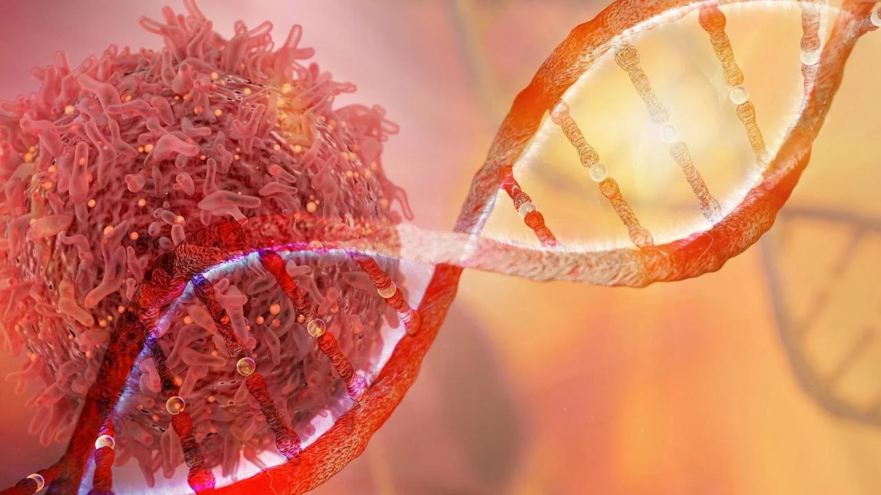 Anthropic’in Claude modeliyle yürüttüğü taramalarda RNA’dan DNA sentezleyen enzim örnekleri araştırıldı.