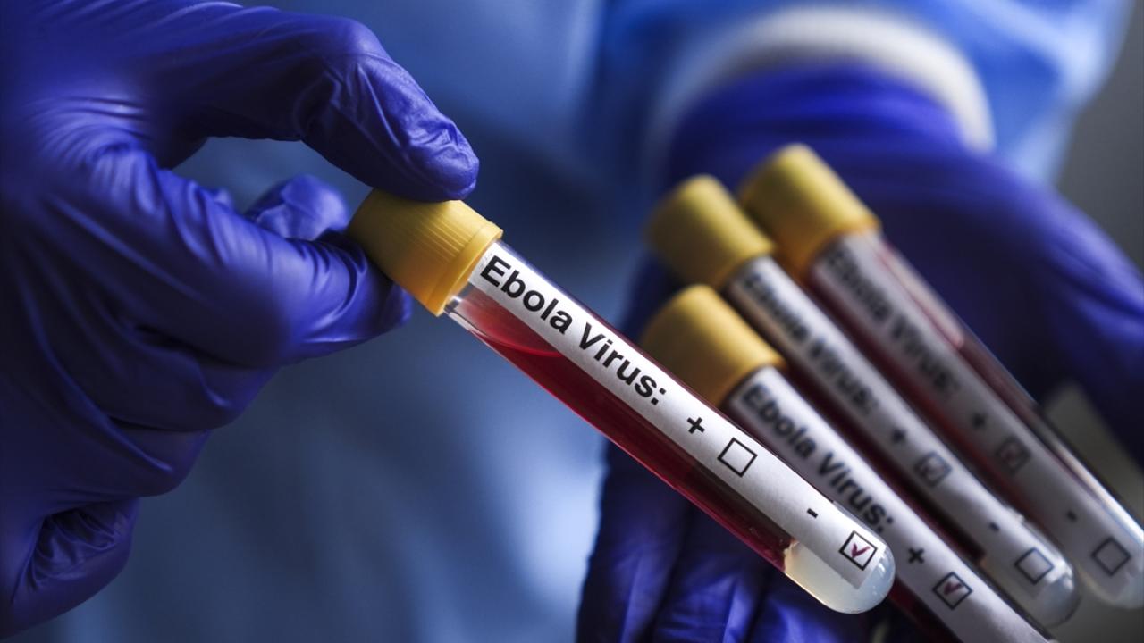 DSÖ, Uganda’daki Ebola salgınının sona erdiğini açıkladı, KDC’de yayılma sürüyor