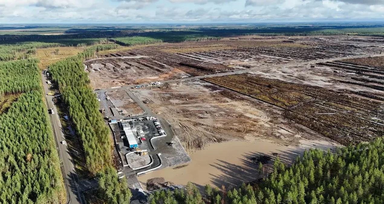 Finlandiya’da Google’ın veri merkezi projeleri için orman kesimi tartışma yarattı - www.gundemedair.com