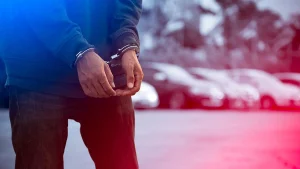 İstanbul’da uyuşturucu sevkiyatına yönelik operasyonda ele geçirilen skunk ve tutuklanan şüpheliler