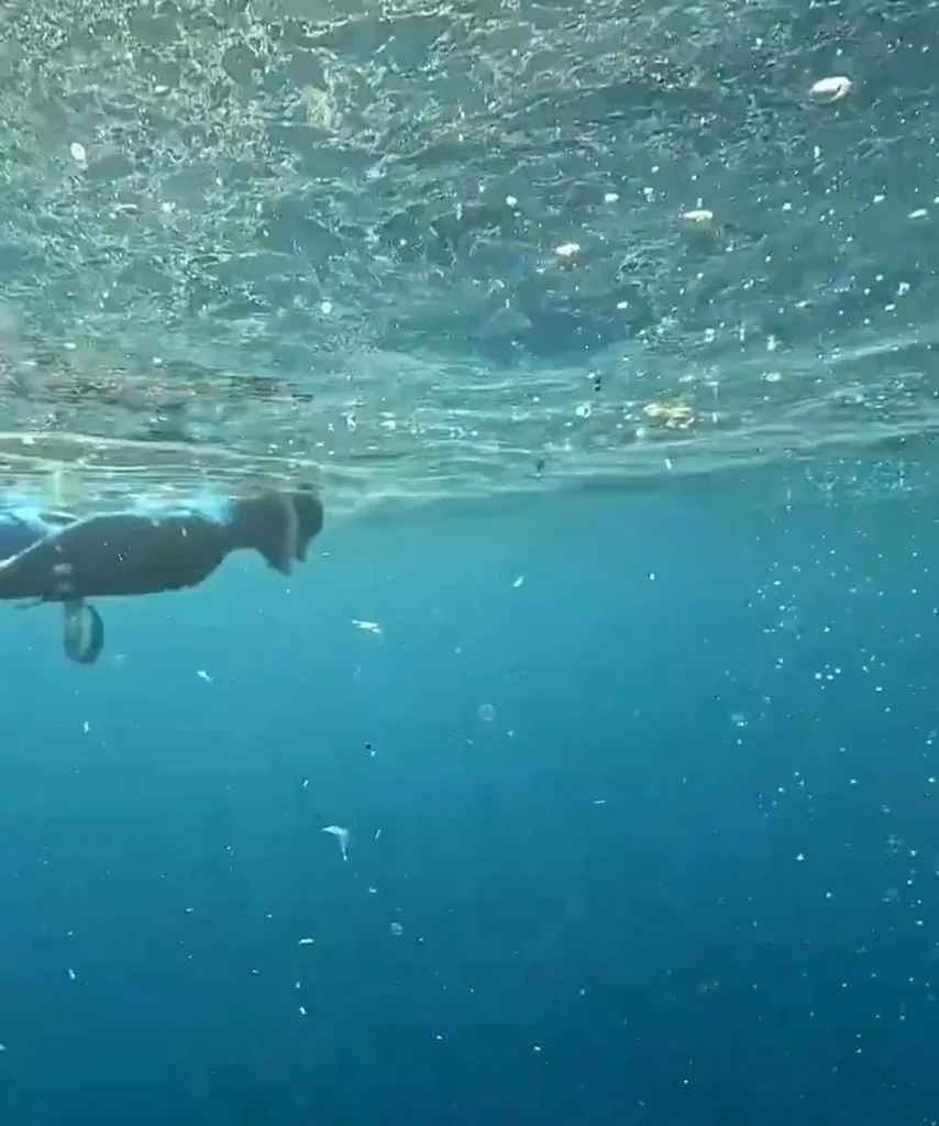 Kaş Halk Plajı'nda mikroplastik kirliliği uyarısı - www.gundemedair.com