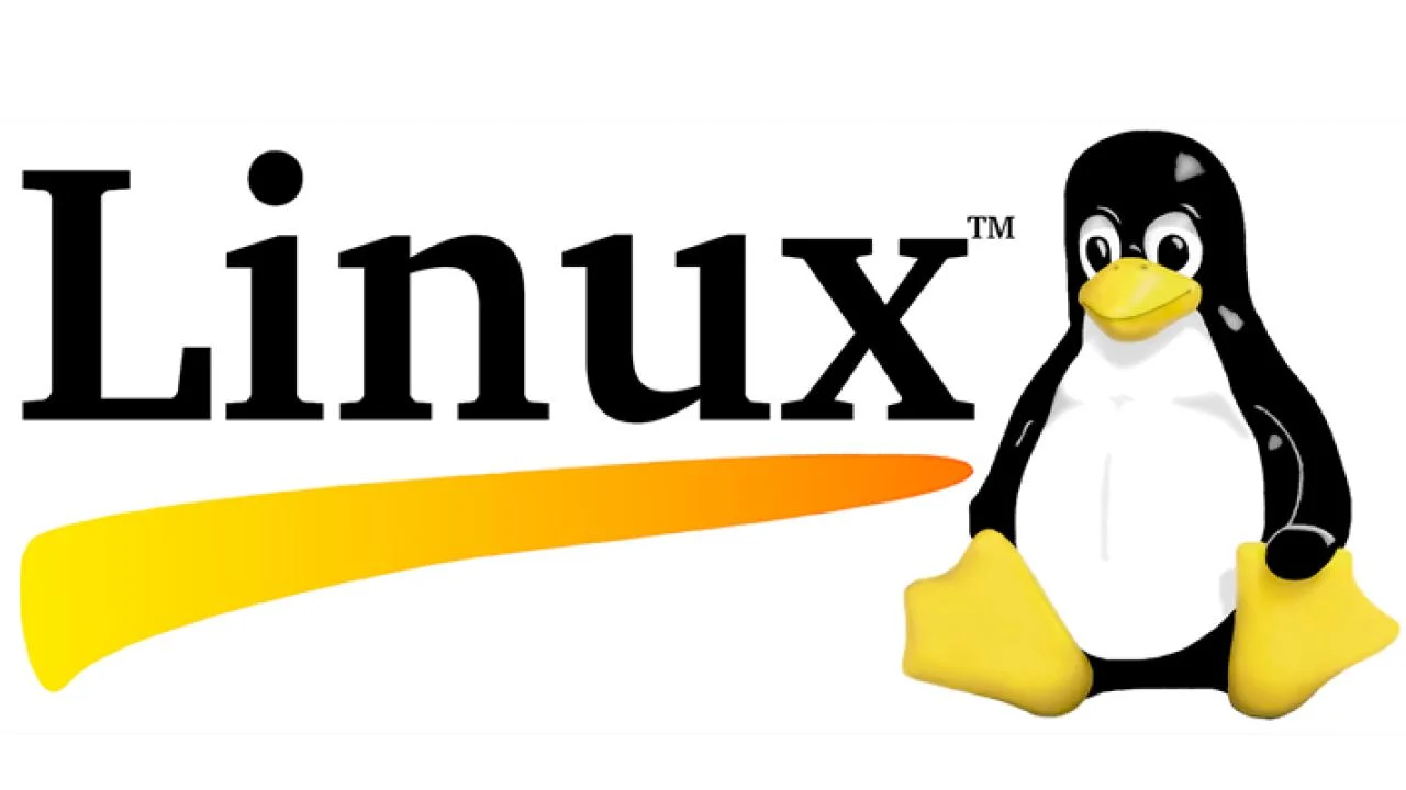 Hollanda, kamu kurumlarında Windows ve Office yerine kendi Linux işletim sistemini
