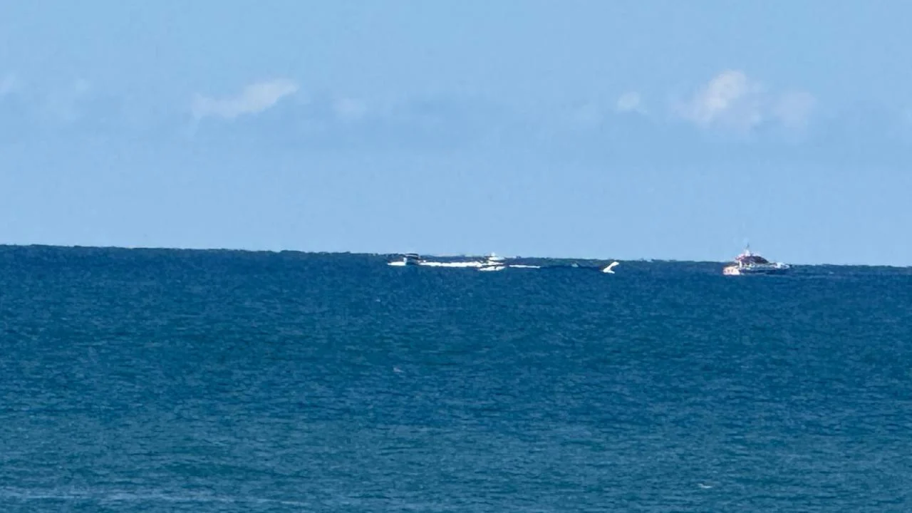 NATO, Karadeniz'de gemilerin korunması için bölgeye ek unsurlar sevk edecek - www.gundemedair.com