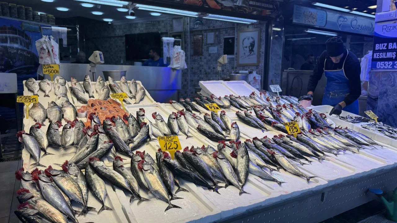 Trabzon’da palamut tezgâhları doldurdu, fiyatlar 100-150 TL arasında