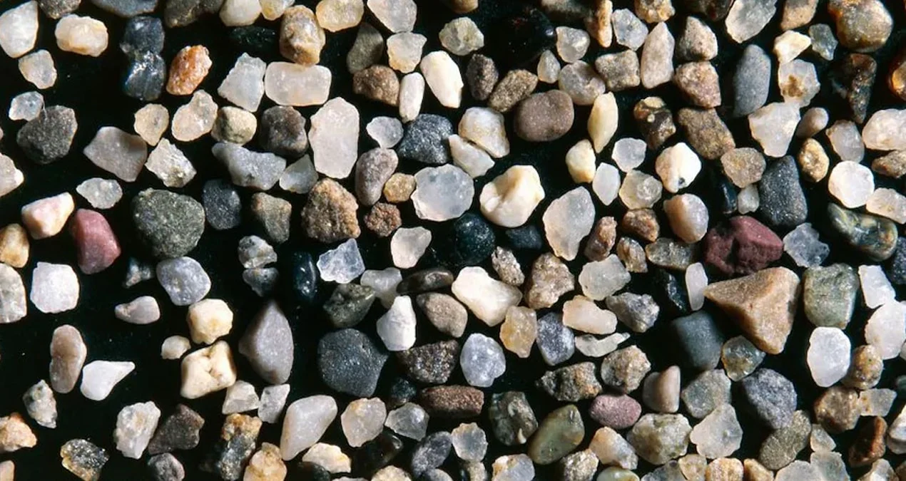 Tüm dünyaya yetecek kadar var ama devlet izin vermiyor