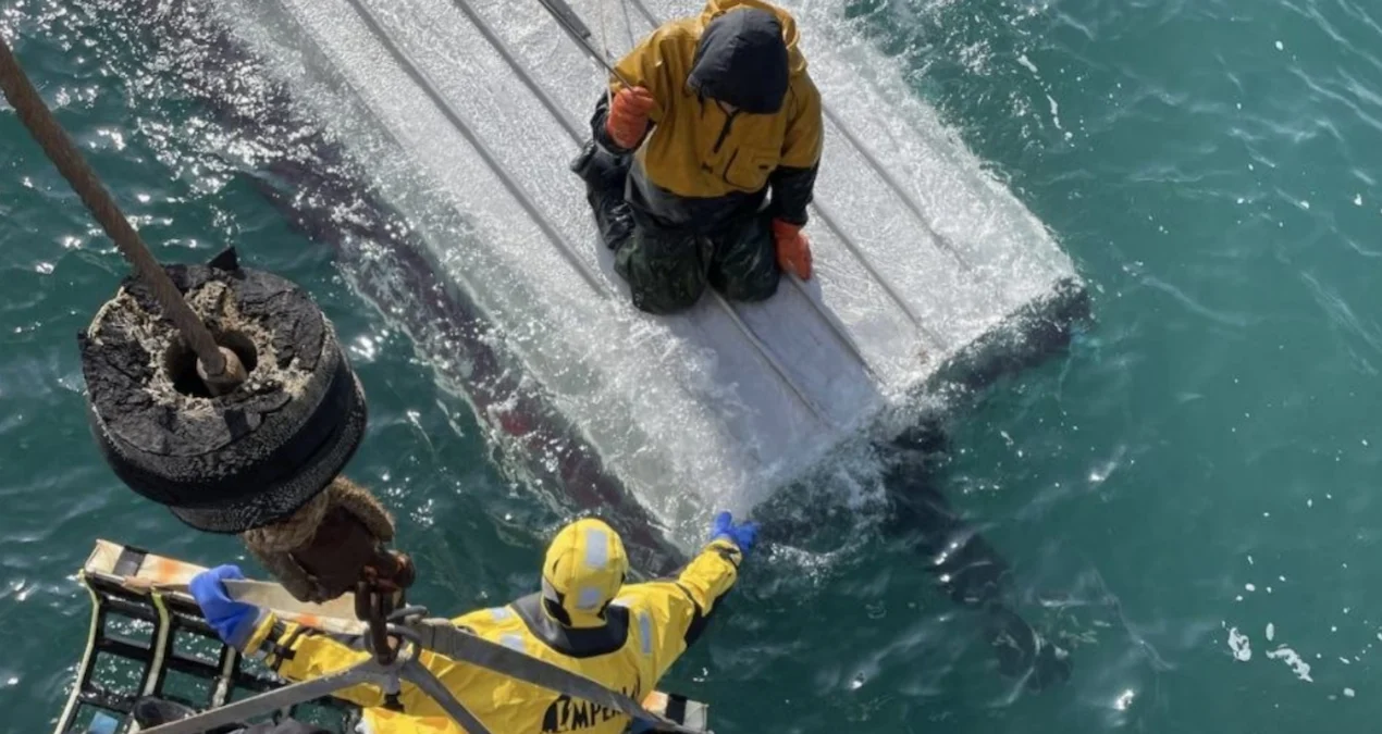 Alaska’da kayıkta iki gün hayatta kalan 15 yaşındaki çocuk kurtarıldı