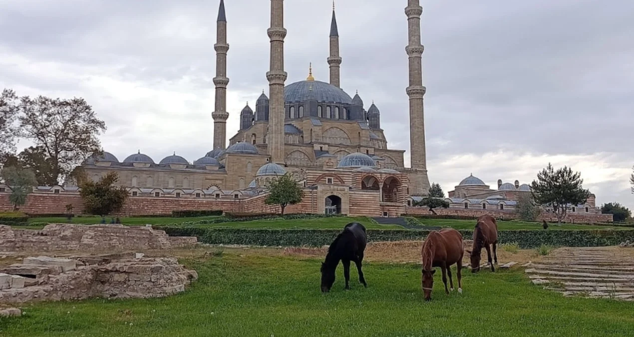 Selimiye Camisi Meydanı'nda Başına Buş Atlar Görüldü - www.gundemedair.com