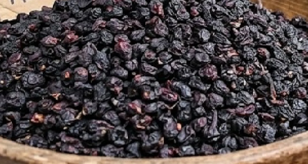 Sivas'ın dağlık bölgelerinde yetişen karamuk meyvesi, kısa hasat dönemiyle tezgahlarda yerini aldı; kilosu 70-100 TL arasında satılıyor - www.gundemedair.com