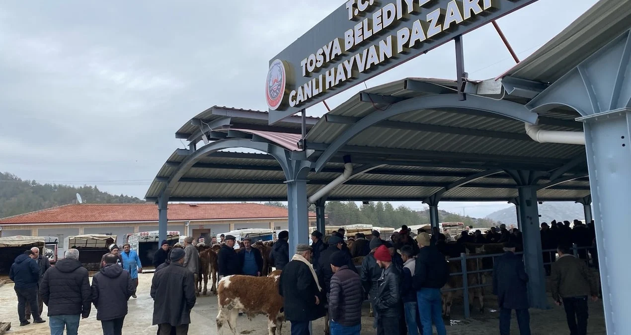 Tosya'da Şap Hastalığı Nedeniyle Canlı Hayvan Pazarı Kapatıldı - www.gundemedair.com