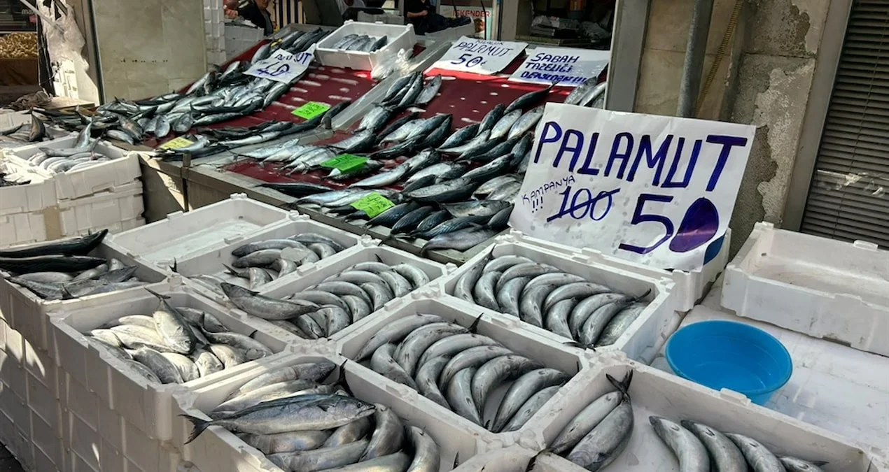 İnebolu’da palamudun tanesi 40 liraya kadar düştü - Sözcü Gazetesi