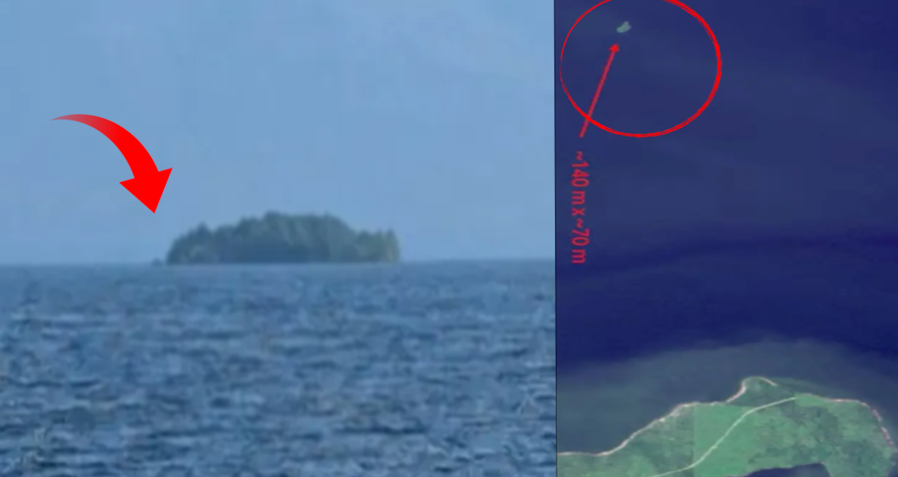 Williston Gölü’nde yüzen ada gizemi bilim insanlarını şaşırttı