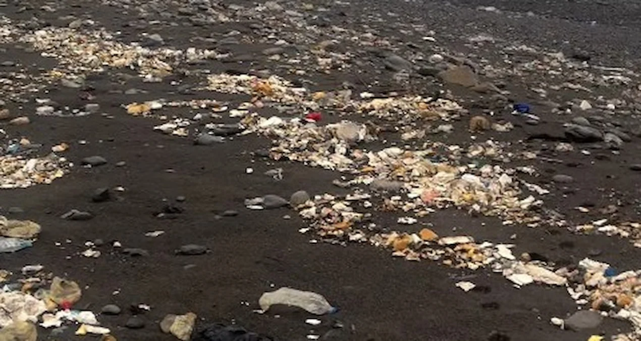 Zonguldak'ta Sağanak Sonrası Kozlu Sahili Çöplerle Kaplandı - www.gundemedair.com