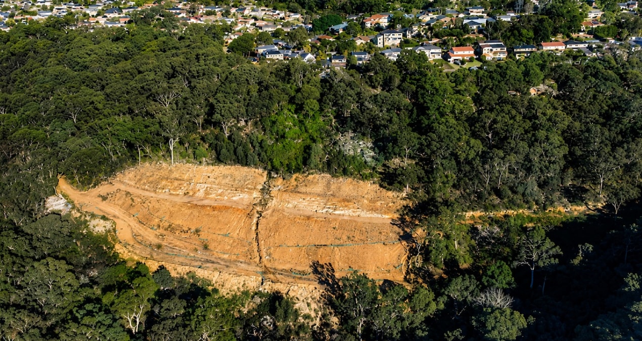 Sydney’de iş insanı izinsiz ağaç kesimi nedeniyle ceza aldı