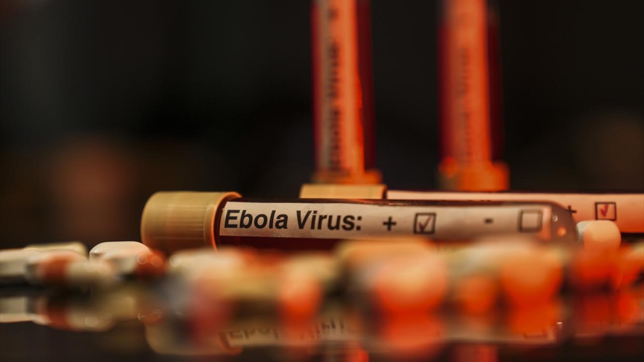 Kongo Demokratik Cumhuriyeti’nde Ebola salgını riski “çok yüksek” olarak değerlendirildi