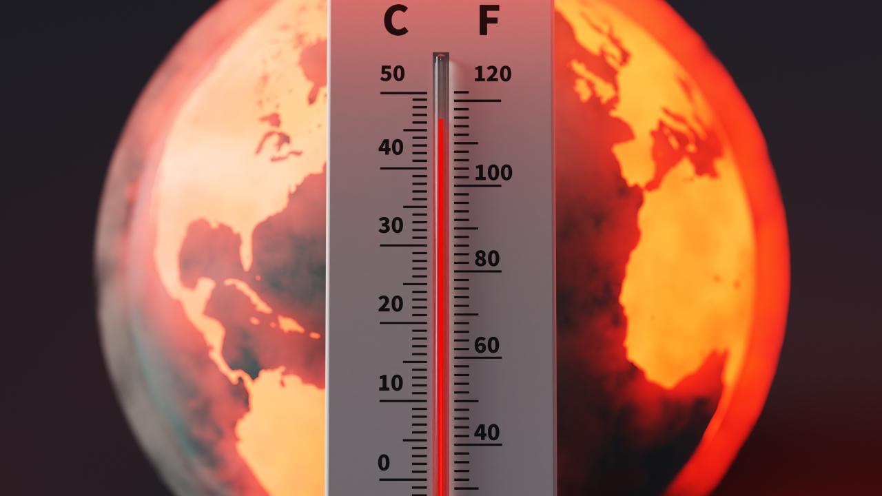 BM Dünya Gıda Programı'nın uyarısı: El Nino’nun gıda güvenliği üzerindeki etkisi.