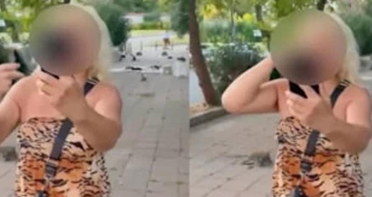 Bakırköy’de kedilere mama verme sırasında yayaların geçişini engellediği iddia edilen kadınla ilgili gözaltı haberi.