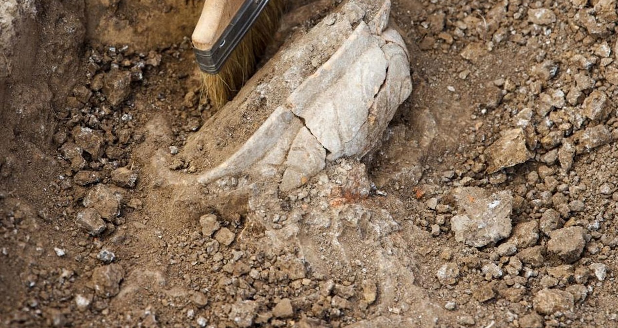 Buckinghamshire’da metal detektörüyle bulunan Roma dönemine ait 2000 yıllık define örnekleri.