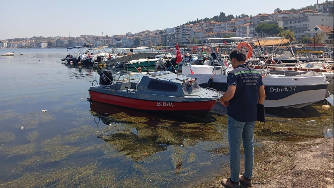 Yalova ve Antalya’da çevre kirliliğine neden olan kurumlara ceza kesildi
