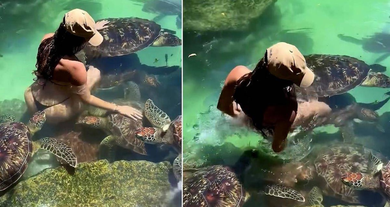 Cynthia Benitez, Zanzibar’da deniz kaplumbağası tarafından ısırıldı