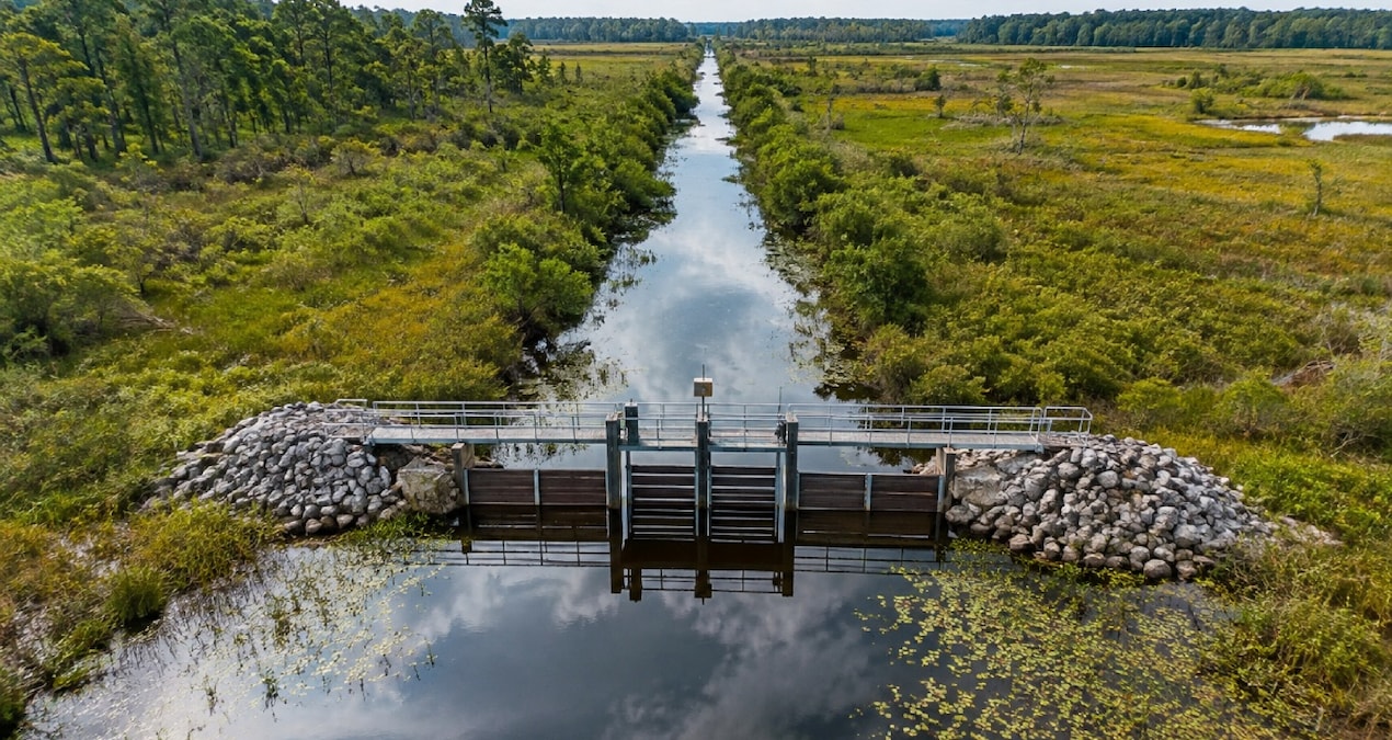 Great Dismal Swamp’ta drenaj kanallarının önüne suyu tutmak için bent ve kapaklar yerleştiriliyor.