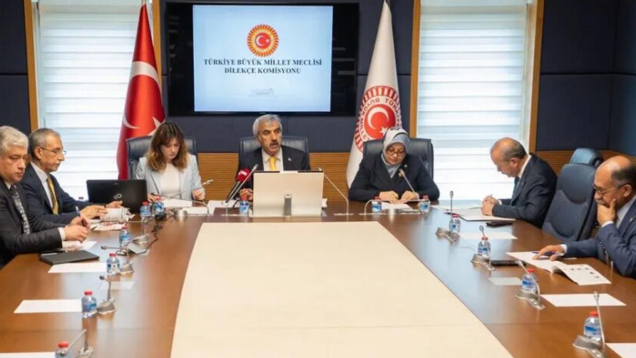 TBMM Dilekçe Komisyonu’nun Temmuz başvurularına dair faaliyet raporu öne çıkan başlıkları gösteriyor.