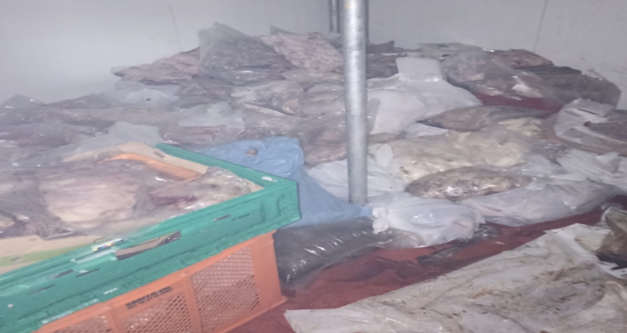 Muğla’da bozuk 400 kilo ete el konuldu, imha edilecek