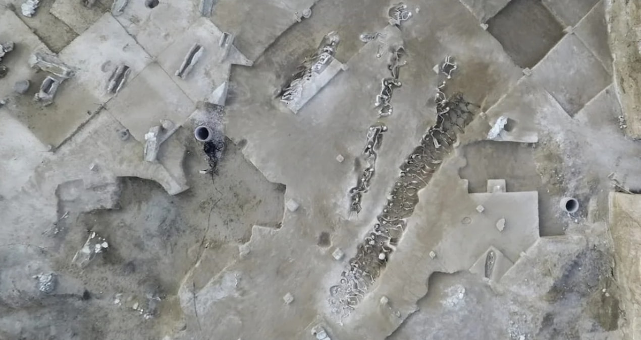Phaleron Nekropolü’nde toplu mezar alanında incelenen zincirli erkek kalıntılarına dair çalışma